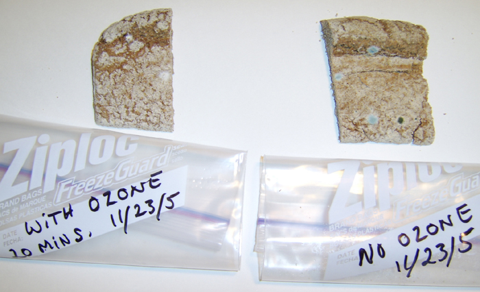Ozone and Bread Mold Experiment (March 23, 2005)